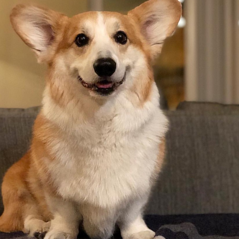 Meet your Posher, Yaz